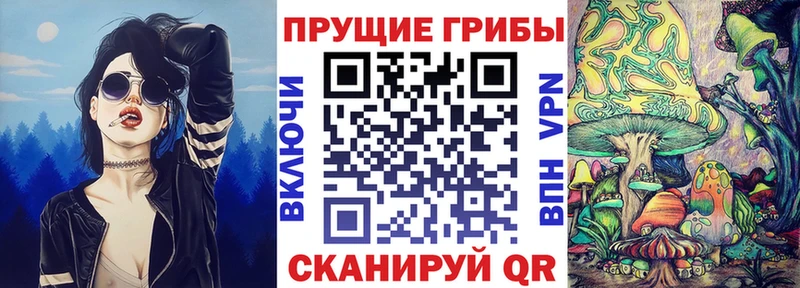 маркетплейс какой сайт  Осинники  Псилоцибиновые грибы Cubensis 